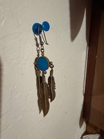 Lost Earring in Arcata