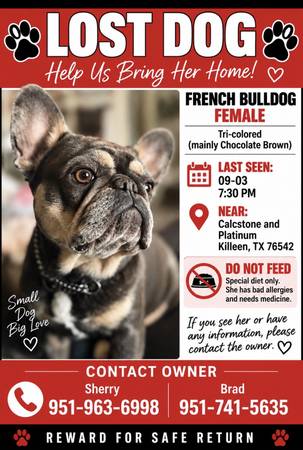 Lost Dog in Calcstone And Platinum
