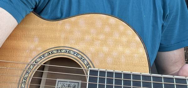 Lost Guitar in Los Angeles