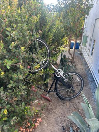 Found bike