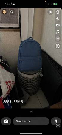 Lost Bag in Los Angeles