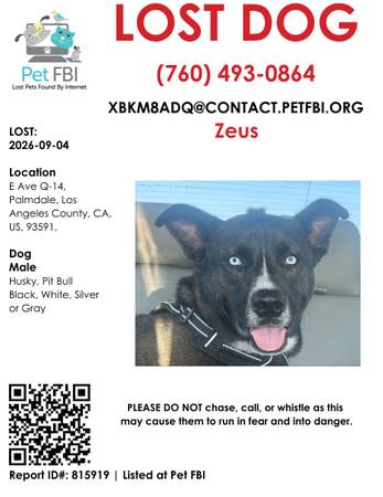 Lost Dog in Palmdale