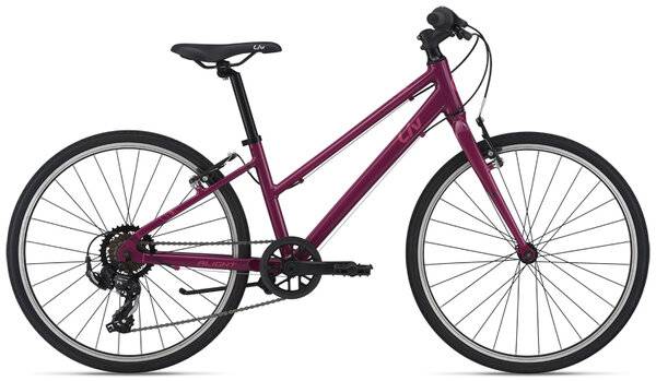 Lost Bike in Madison