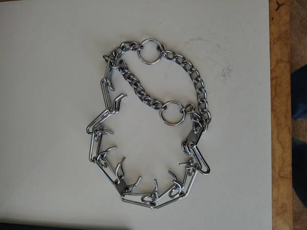 Found Collar in Medford