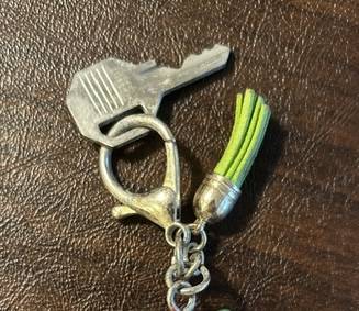 Found Keys in Mequon