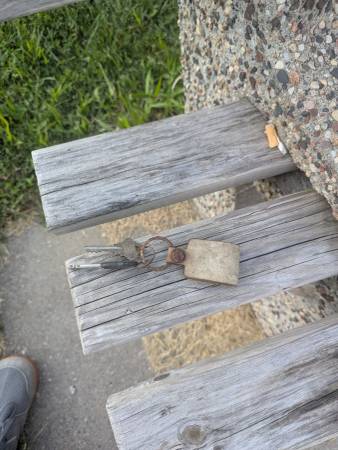 Found Keys in Lake Of The Isles