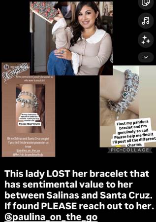 Lost Bracelet in Monterey