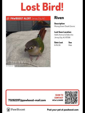 Lost Bird in Jersey City