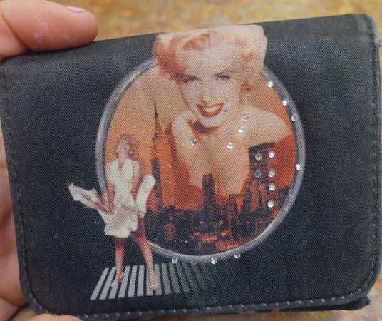 Lost Wallet in Clifton