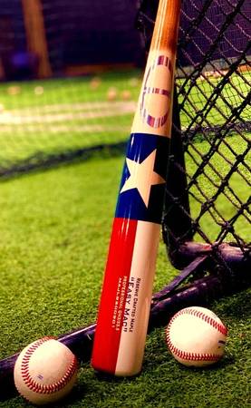 Lost baseball bat