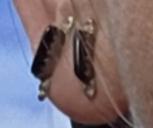 Lost earrings