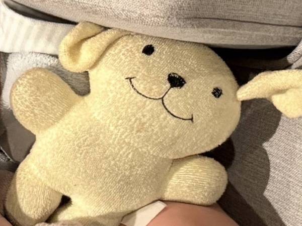 Lost Stuffed Animal in Huntington Beach