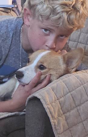Lost Dog in Brookings