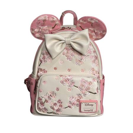Lost backpack