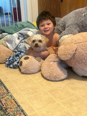 Found dog