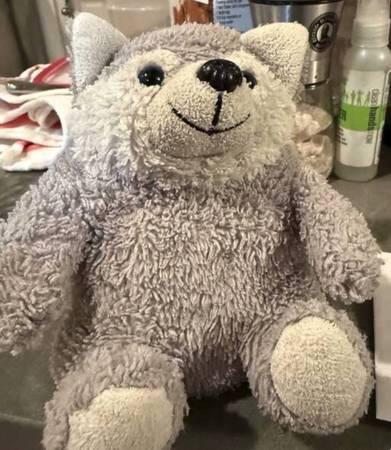 Lost toy