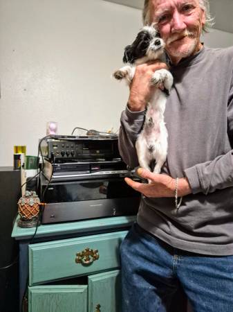Lost Dog in Redding