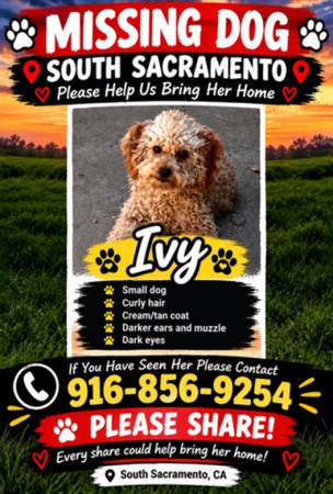 Lost Pet in South Sacramento