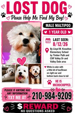 Lost Dog in San Antonio