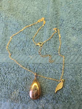 Found necklace