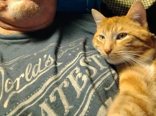 Lost Cat in Escondido