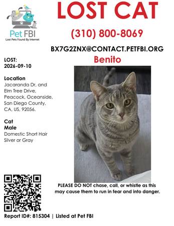 Lost Cat in Oceanside