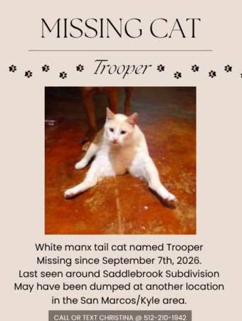Lost Cat in San Marcos