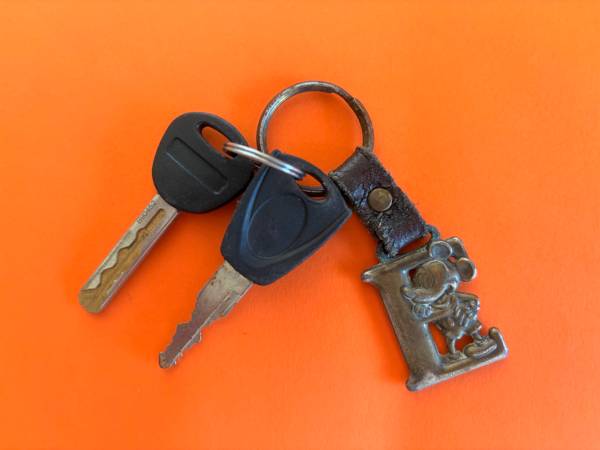 Found Keys in Bike Path At Walnut