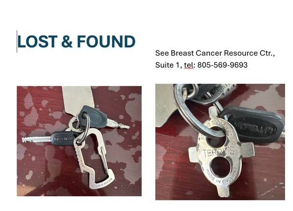 Found keys