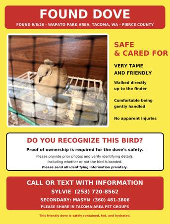 Found bird