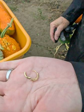 Found earring