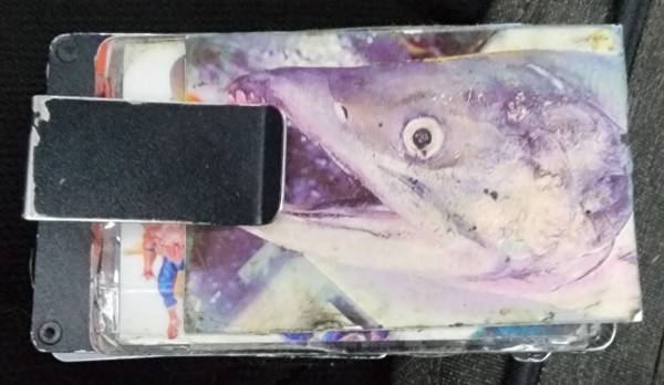 Found wallet