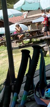 Lost Trekking Poles in Mill Valley