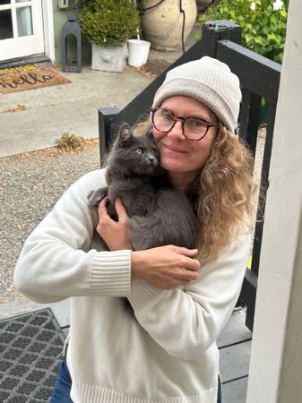 Found Cat in Commercial Way