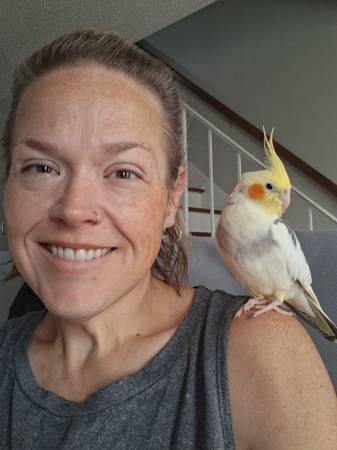 Lost Bird in Tampa