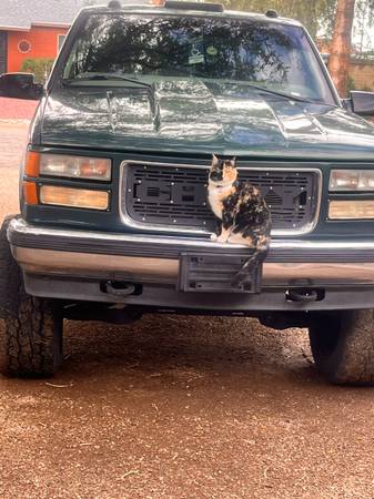 Lost Cat in Tucson