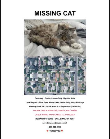 Lost Cat in Twin Falls