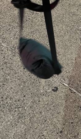 Lost jacket