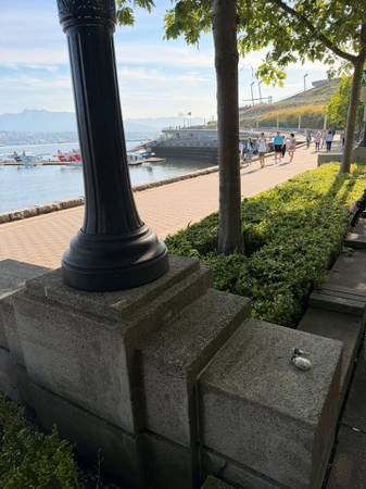 Lost Keys in Canada Place Seawall