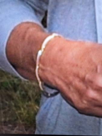 Lost Bracelet in Brooksbank