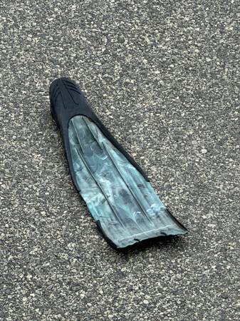 Found diving fin