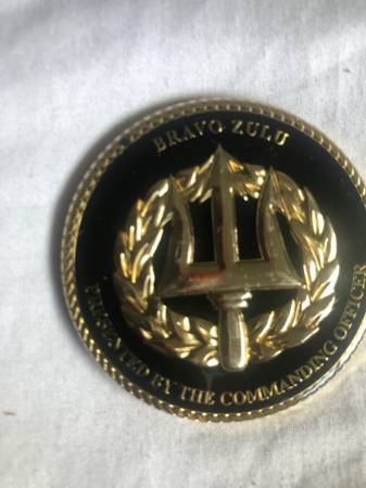 Found Medal in Camarillo