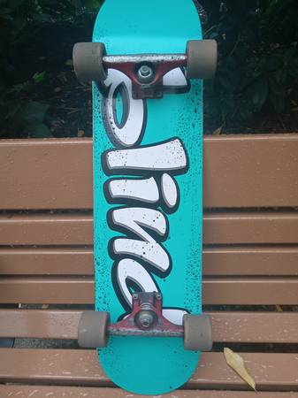 Lost skateboard
