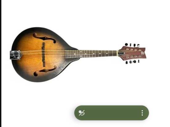 Lost Mandolin in Oaklands Park