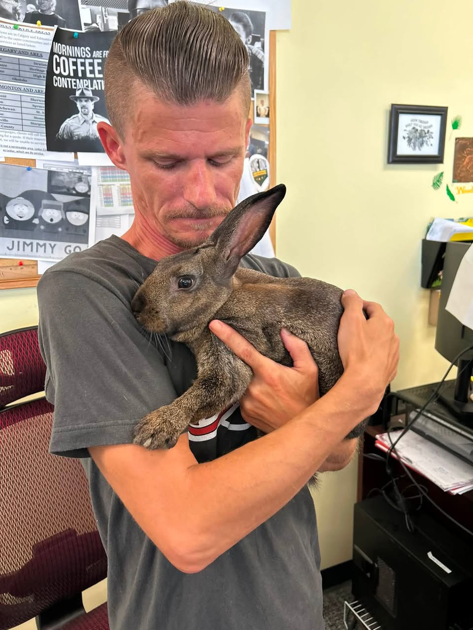 Found rabbit