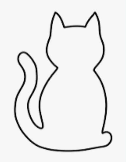 Found cat