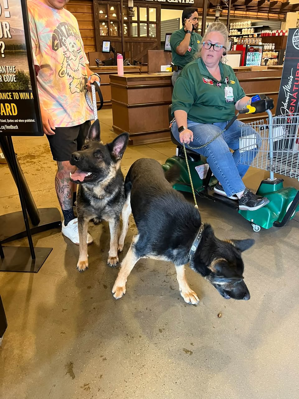 Found dog