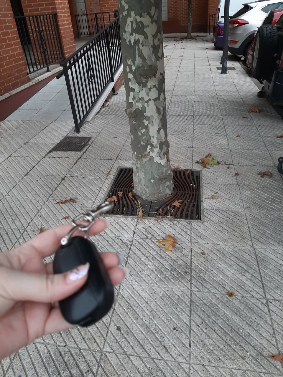 Found keys