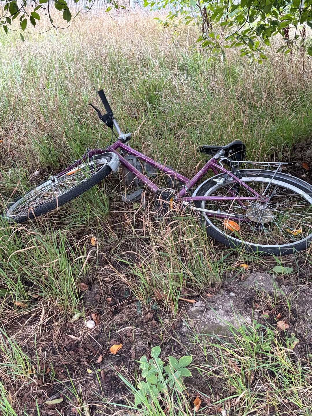 Found bike