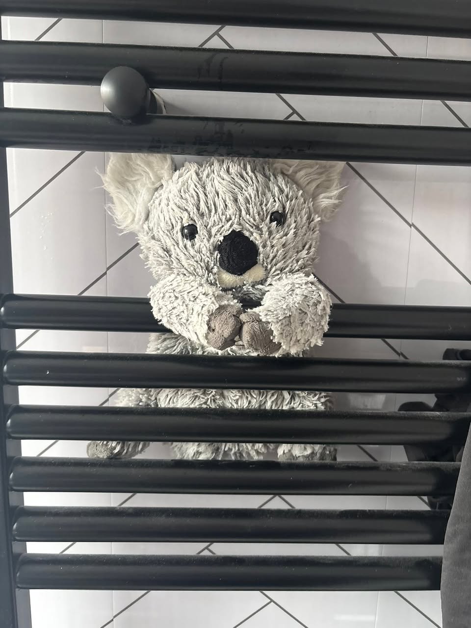 Lost toy